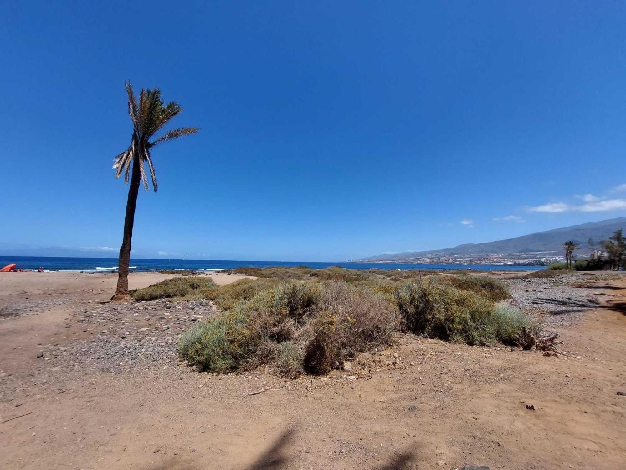 Apartamento De Un Dormitorio En Mareverde E14 Costa Adeje (Tenerife) Exterior foto